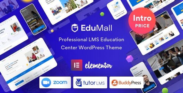 EduMall 3.2.1 – 专业 LMS 教育中心 WordPress 主题