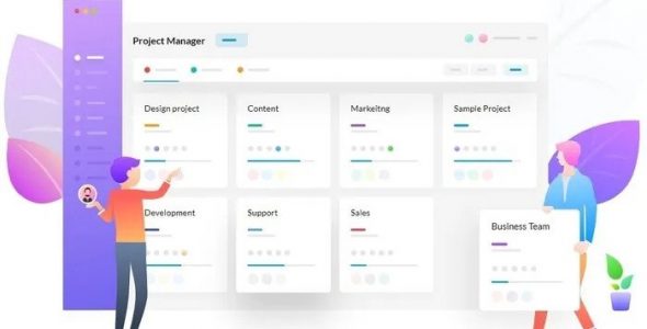 WP Project Manager Pro插件V2.6 wordpress项目管理插件